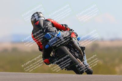 media/Oct-09-2022-SoCal Trackdays (Sun) [[95640aeeb6]]/Turn 9 Backside (120pm)/